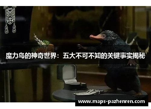 魔力鸟的神奇世界:五大不可不知的关键事实揭秘 魔力鸟的神奇世界:五大不可不知的关键事实揭秘
