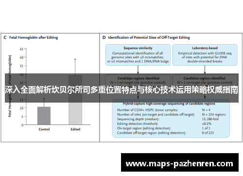 深入全面解析坎贝尔所司多重位置特点与核心技术运用策略权威指南 深入全面解析坎贝尔所司多重位置特点与核心技术运用策略权威指南