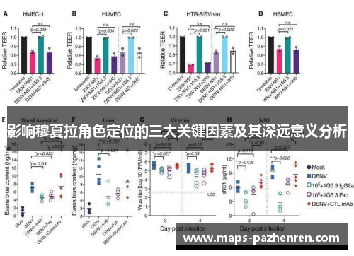 影响穆夏拉角色定位的三大关键因素及其深远意义分析